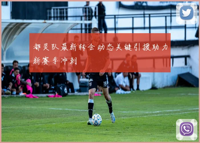 都灵队最新转会动态关键引援助力新赛季冲刺